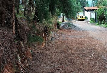 Lote de Terreno en  Calle Porfirio Díaz, La Capilla, Valle De Bravo, México, 51202, Mex