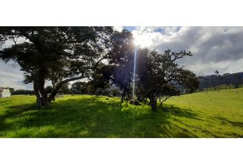 Lote de Terreno en  La Calera, Cundinamarca