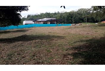 Lote de Terreno en  Parcelaciones Pance, Cali