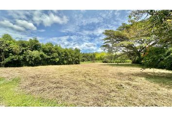 Lote de Terreno en  La Pradera, Jamundí