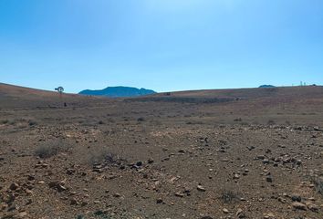 Terreno en  Mazacote, Palmas (las)