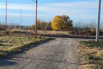 Terrenos en  Allen, Río Negro