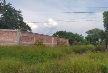 Lote de Terreno en  Avenida Vicente Guerrero 52-52, Centro Alpuyeca, Alpuyeca, Xochitepec, Morelos, 62797, Mex