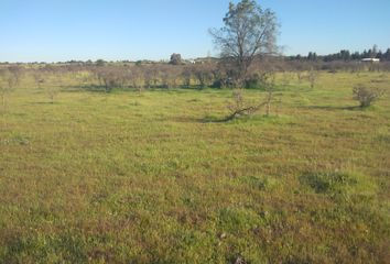 Parcela en  La Estrella, Cardenal Caro