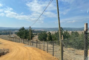 Parcela en  Paredones, Cardenal Caro