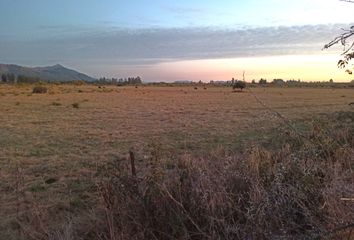 Parcela en  Río Claro, Talca