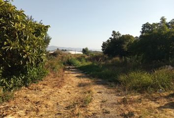 Parcela en  La Cruz, Quillota