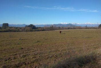 Parcela en  San Clemente, Talca