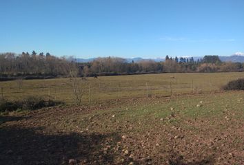 Parcela en  San Clemente, Talca