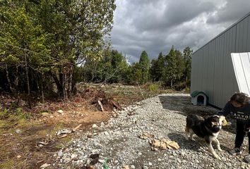 Parcela en  Puerto Montt, Llanquihue