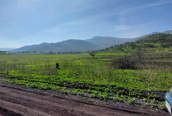 Parcela en  Colina, Chacabuco