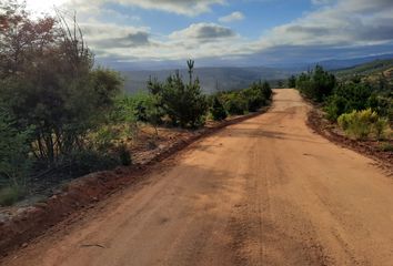 Parcela en  Hualañé, Curicó