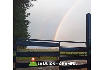 Parcela en  Río Bueno, De Ranco