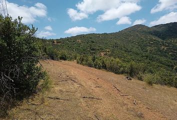 Parcela en  Peralillo, Colchagua