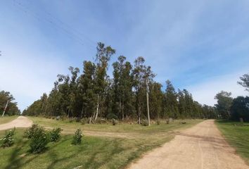 Terrenos en  El Paraíso, Partido De Ramallo