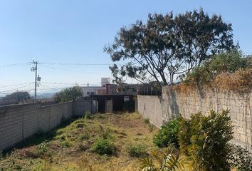 Lote de Terreno en  Calle Papayos, Los Papayos, Colonia Los Papayos, Cuernavaca, Morelos, 62323, Mex