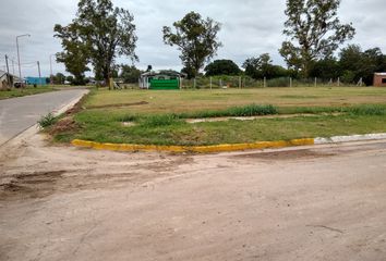 Terrenos en  Timbúes, Santa Fe