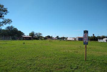 Terrenos en  Timbúes, Santa Fe