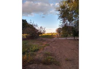 Terrenos en  Timbúes, Santa Fe