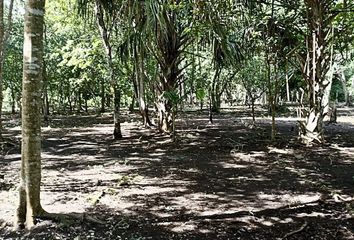 Lote de Terreno en  77936, Colonia Aarón Merino, Quintana Roo, Mex