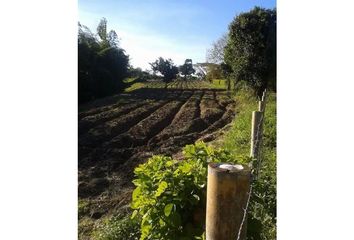 Lote de Terreno en  La Tebaida, Quindío