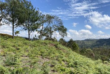 Lote de Terreno en  El Retiro, Antioquia