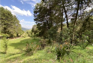 Lote de Terreno en  El Retiro, Antioquia