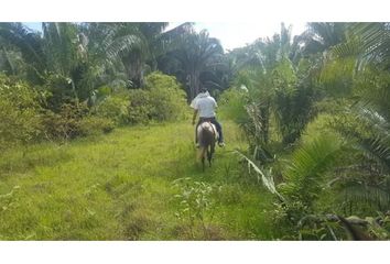 Villa-Quinta en  San Luis, Tolima