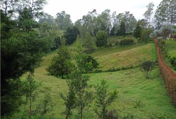 Lote de Terreno en  San Vicente, Antioquia