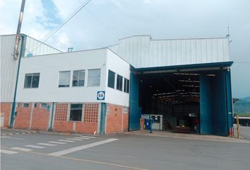 Bodega en  Palestina, Caldas