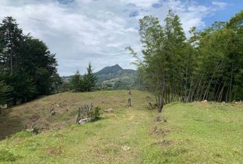 Lote de Terreno en  El Carmen De Viboral, Antioquia