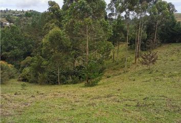 Lote de Terreno en  Comuna 7, Robledo, Medellín