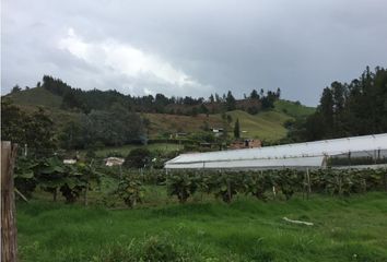 Lote de Terreno en  El Retiro, Antioquia