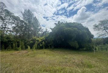 Lote de Terreno en  Rionegro Antioquía