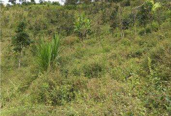 Lote de Terreno en  Puerta Del Sol, Manizales