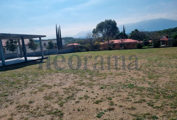 Lote de Terreno en  Calle Porfirio Treviño, El Paso Hondo, Allende, Nuevo León, 67354, Mex