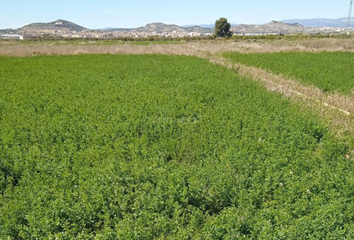 Terreno en  La Pobla De Vallbona, Valencia/valència Provincia