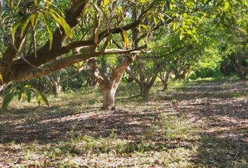 Lote de Terreno en  63714, La Puerta De La Lima, Nayarit, Mex