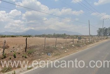 Lote de Terreno en  El Armadillo, Tepic