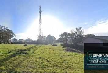 Terrenos en  Calle 687, Chapadmalal, General Pueyrredón, Provincia De Buenos Aires, Arg