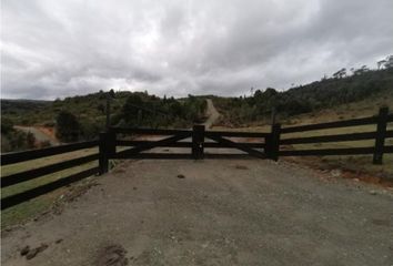 Parcela en  Puerto Montt, Llanquihue