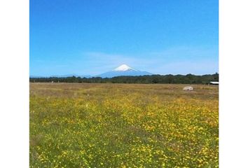 Parcela en  Osorno, Osorno