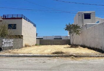 Lote de Terreno en  San José Del Cabo Centro, San José Del Cabo