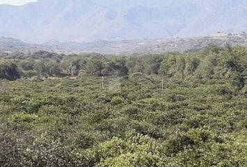 Lote de Terreno en  Pueblo Tilzapotla, Puente De Ixtla