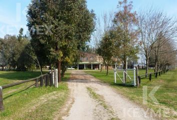 Terrenos en  Abasto, Partido De La Plata