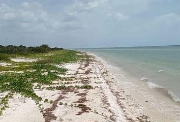 Lote de Terreno en  Celestún, Yucatán