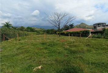 Lote de Terreno en  Alvernia, Tuluá