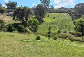 Lote de Terreno en  Rionegro Antioquía