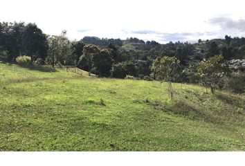 Lote de Terreno en  Rionegro Antioquía