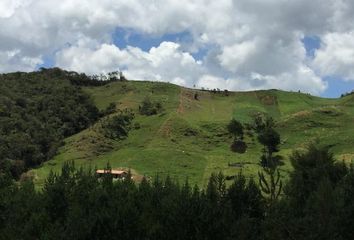 Villa-Quinta en  La Unión, Antioquia